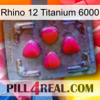 Rhino 12 Titanium 6000 13